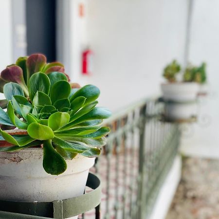 Kuku Ruku Hotel Querétaro Zewnętrze zdjęcie
